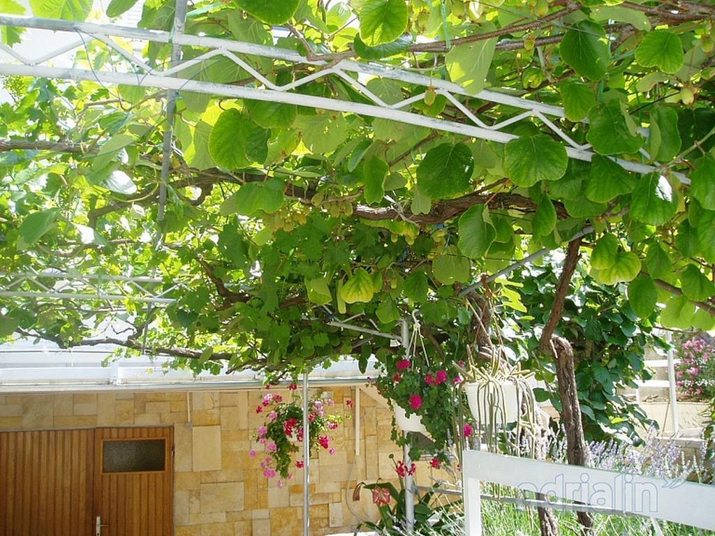 גורני קרין Kiwi Apartments מראה חיצוני תמונה